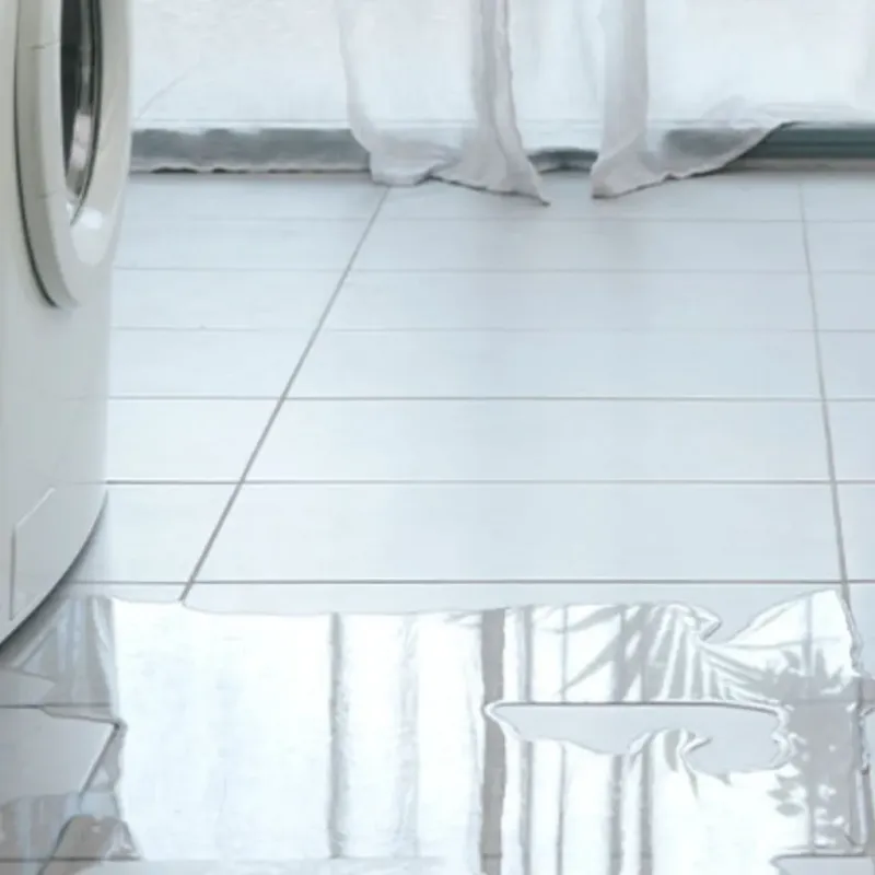 Appliance Leak Cleanup in Paradise Heights, FL